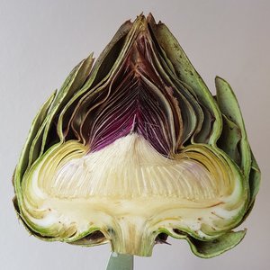 Artichoke
